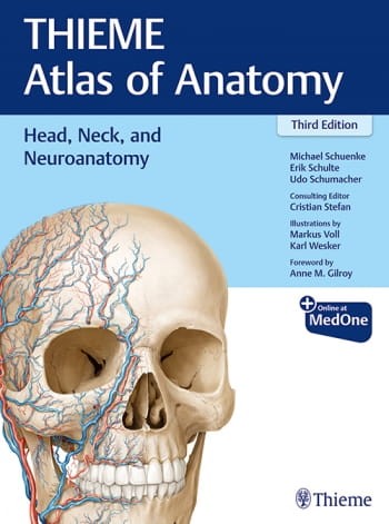 Head, Neck, and Neuroanatomy.jpg